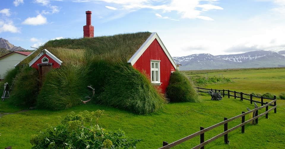 Traditional turf house in summer