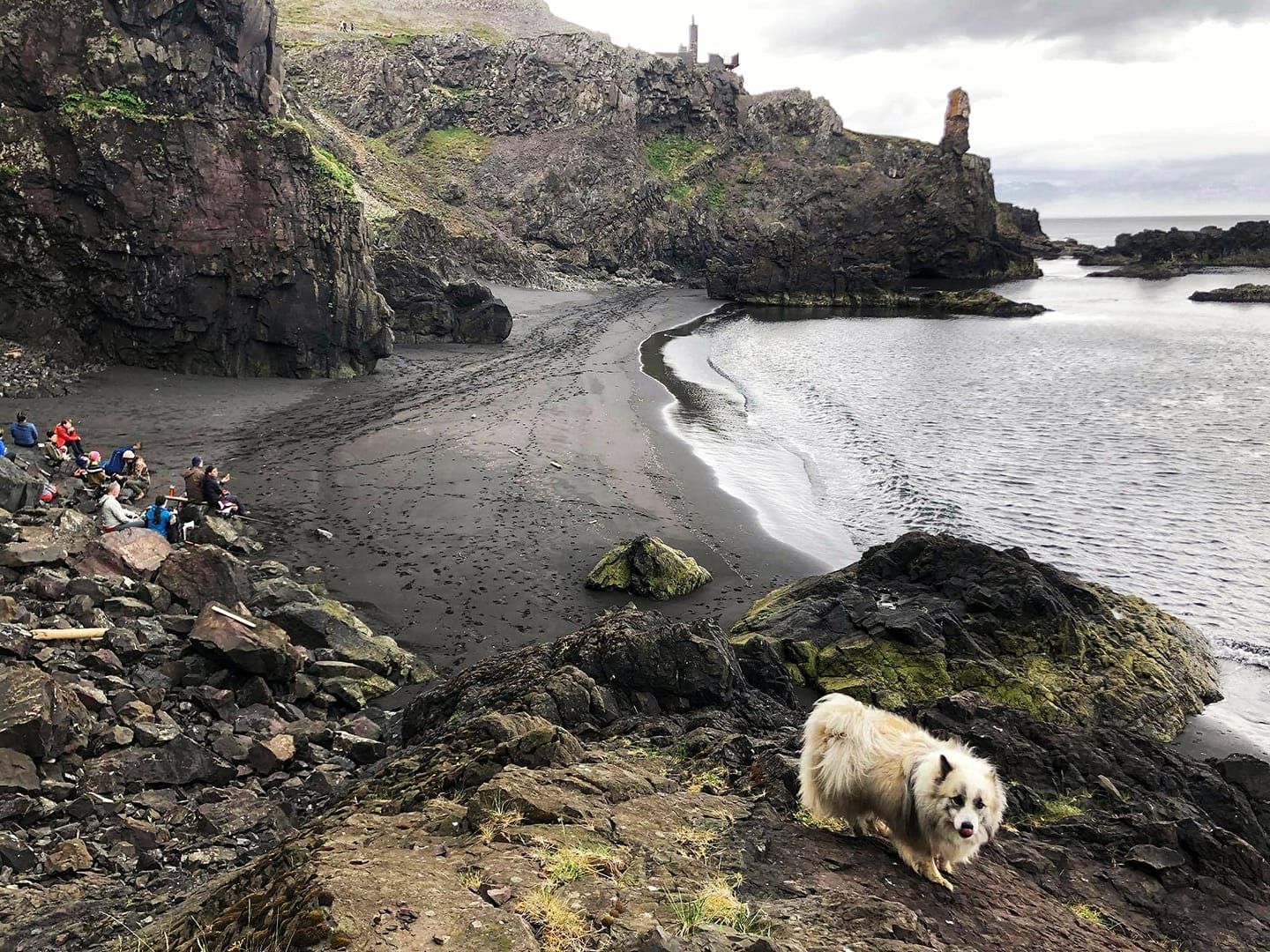 Coastal beach view with dog